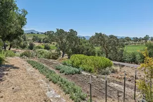 1035 Loma Vista Dr, Napa, CA 94558 - Photo 93