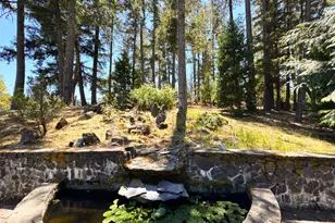 16990 Old Boy Scout Rd, Willits, CA 95490 - Photo 65
