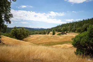 48600 Hwy 101 Hwy, Laytonville, CA 95454 - Photo 7
