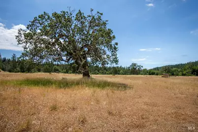 48600 Highway 101 Highway, Laytonville, CA 95454 - Photo 47