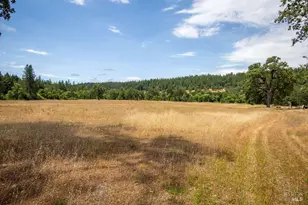 48600 Hwy 101 Hwy, Laytonville, CA 95454 - Photo 49