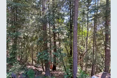 4345 Blackhawk Drive, Willits, CA 95490 - Photo 29