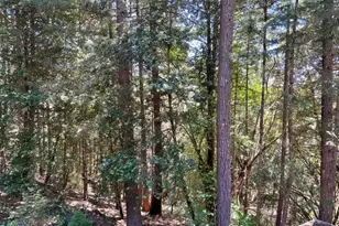 4345 Blackhawk Dr, Willits, CA 95490 - Photo 29