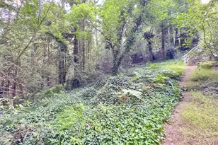 18200 Hwy 116, Guerneville, CA 95446 - Photo 29