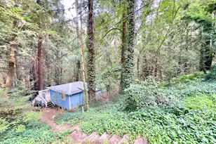 18200 Hwy 116, Guerneville, CA 95446 - Photo 27