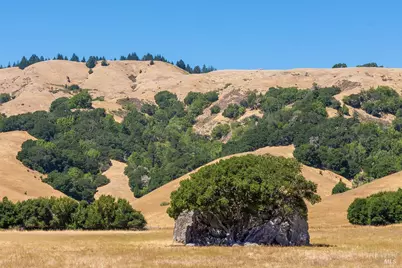 0 W Nicasio Road, Nicasio, CA 94946 - Photo 31