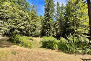 29905 Ten Mile Cut Off Rd, Gualala, CA 95445 - Photo 23