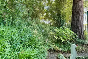 2 Bluejay Dr, Santa Rosa, CA 95409 - Photo 25