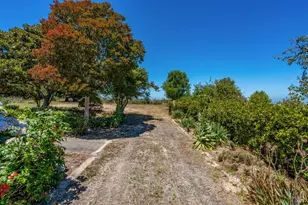 829 Rigsby Ln, Sebastopol, CA 95472 - Photo 29