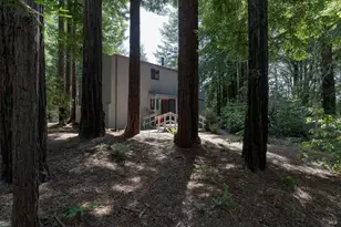 303 Fish Hook, The Sea Ranch, CA 95497 - Photo 23