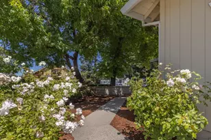 101 Miller Ct, Petaluma, CA 94954 - Photo 3