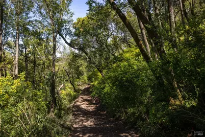 141 Granlee Road, San Rafael, CA 94903 - Photo 3