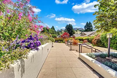 46 Ned's Way #46, Tiburon, CA 94920 - Photo 45
