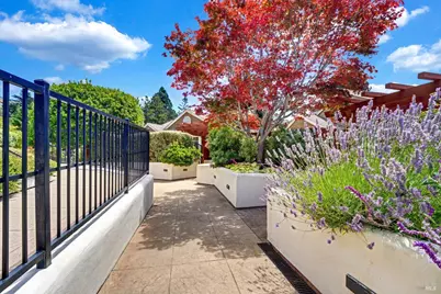 46 Ned's Way #46, Tiburon, CA 94920 - Photo 41