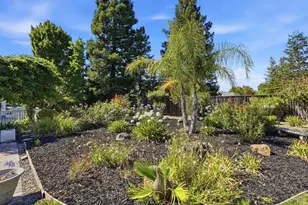 372 Fireweed Ct, Windsor, CA 95492 - Photo 51