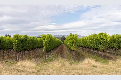 0 River Road, Fulton, CA 95439 - Photo 13