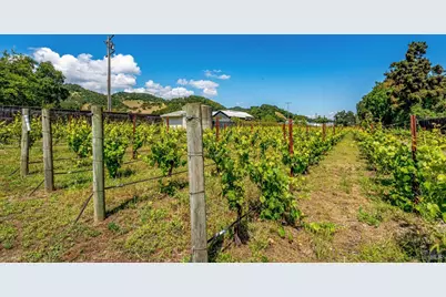 1167 Darms Lane, Napa, CA 94558 - Photo 45