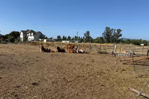 1191 Helman Ln, Cotati, CA 94931 - Photo 13