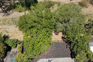 261 Redwood Cir, Petaluma, CA 94954 - Photo 45