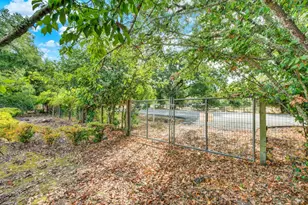 677 Petaluma Ave, Sonoma, CA 95476 - Photo 5