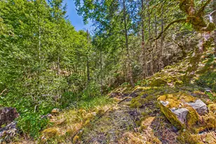 60890 Bell Springs Rd, Laytonville, CA 95454 - Photo 49