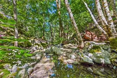 60890 Bell Springs Road, Laytonville, CA 95454 - Photo 55