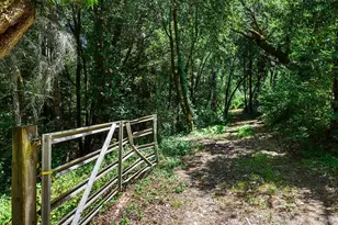 10215 Occidental Rd, Sebastopol, CA 95472 - Photo 53