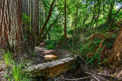 10215 Occidental Road, Sebastopol, CA 95472 - Photo 47