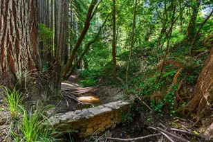 10215 Occidental Rd, Sebastopol, CA 95472 - Photo 47