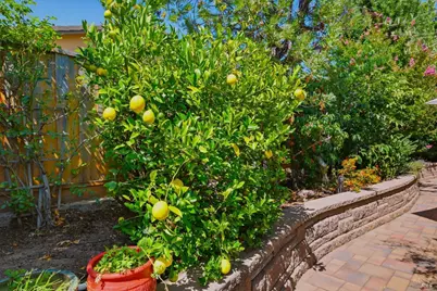 239 Saffron Court, Napa, CA 94559 - Photo 39
