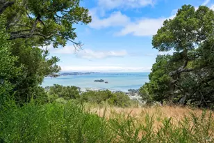 300 Margarita Dr, San Rafael, CA 94901 - Photo 71