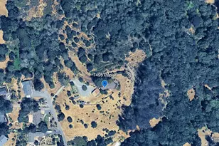 7495 Poplar Dr, Forestville, CA 95436 - Photo 51