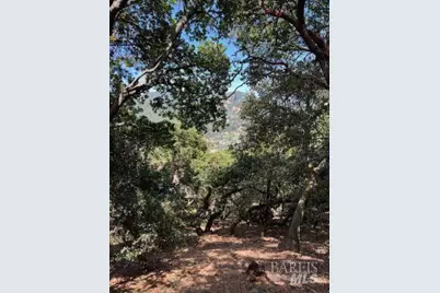 80 Oakmont Avenue, San Rafael, CA 94901 - Photo 31
