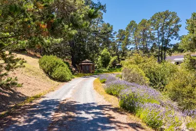 3518 Bloomfield Road, Sebastopol, CA 95472 - Photo 57