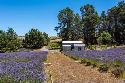 3518 Bloomfield Road, Sebastopol, CA 95472 - Photo 69