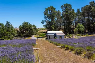 3518 Bloomfield Rd, Sebastopol, CA 95472 - Photo 69