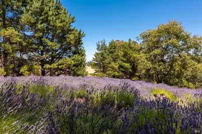 3518 Bloomfield Road, Sebastopol, CA 95472 - Photo 63