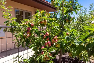 3518 Bloomfield Rd, Sebastopol, CA 95472 - Photo 49
