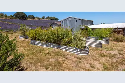 3518 Bloomfield Road, Sebastopol, CA 95472 - Photo 77