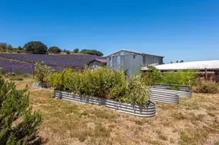 3518 Bloomfield Rd, Sebastopol, CA 95472 - Photo 77