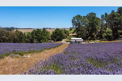 3518 Bloomfield Road, Sebastopol, CA 95472 - Photo 71