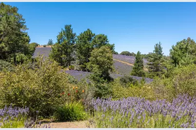 3518 Bloomfield Road, Sebastopol, CA 95472 - Photo 59