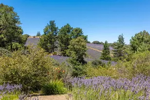 3518 Bloomfield Rd, Sebastopol, CA 95472 - Photo 59