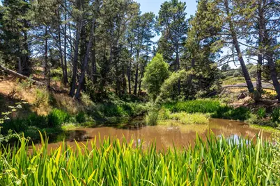 3518 Bloomfield Road, Sebastopol, CA 95472 - Photo 61