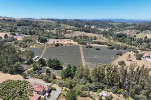3518 Bloomfield Rd, Sebastopol, CA 95472 - Photo 83