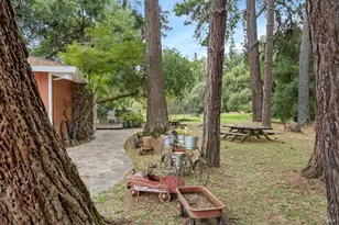 8157 Mill Station Rd, Sebastopol, CA 95472 - Photo 9