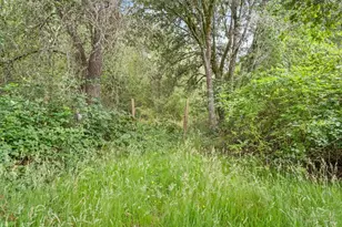 8157 Mill Station Rd, Sebastopol, CA 95472 - Photo 13