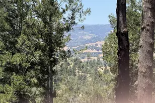 140 Petrified Forest Rd, Calistoga, CA 94515 - Photo 19