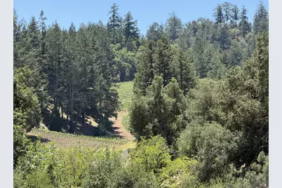 140 Petrified Forest Road, Calistoga, CA 94515 - Photo 17