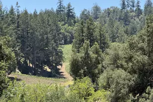 140 Petrified Forest Rd, Calistoga, CA 94515 - Photo 17
